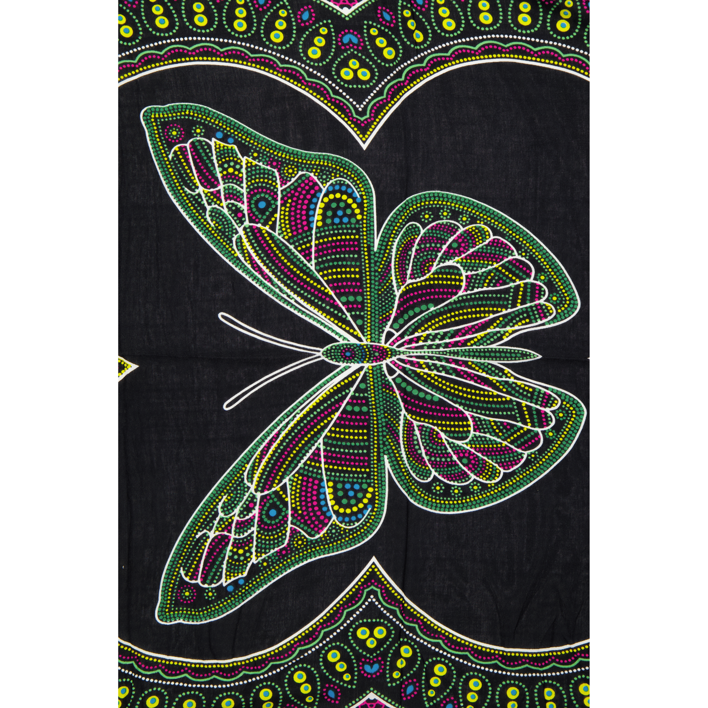 BUTTERFLY BREEZE BLOOM