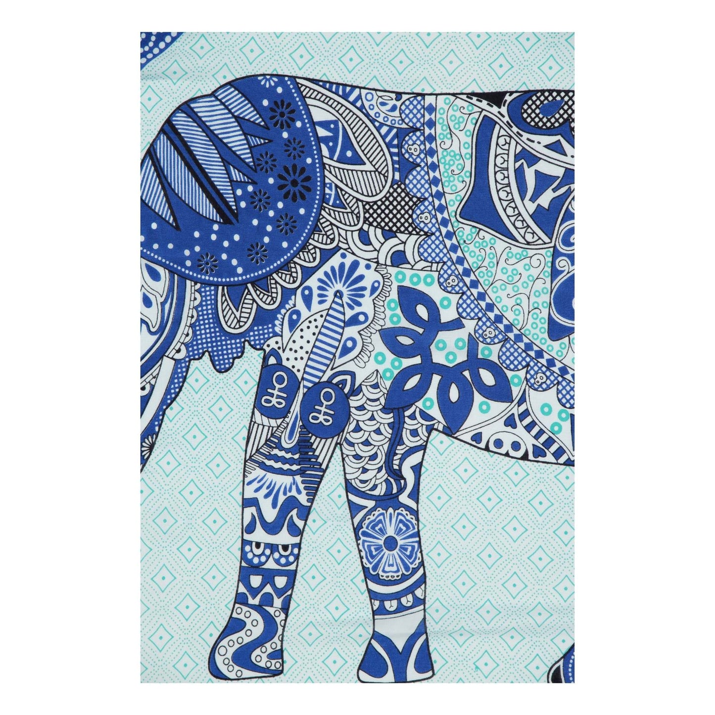 ELEPHANT COIN