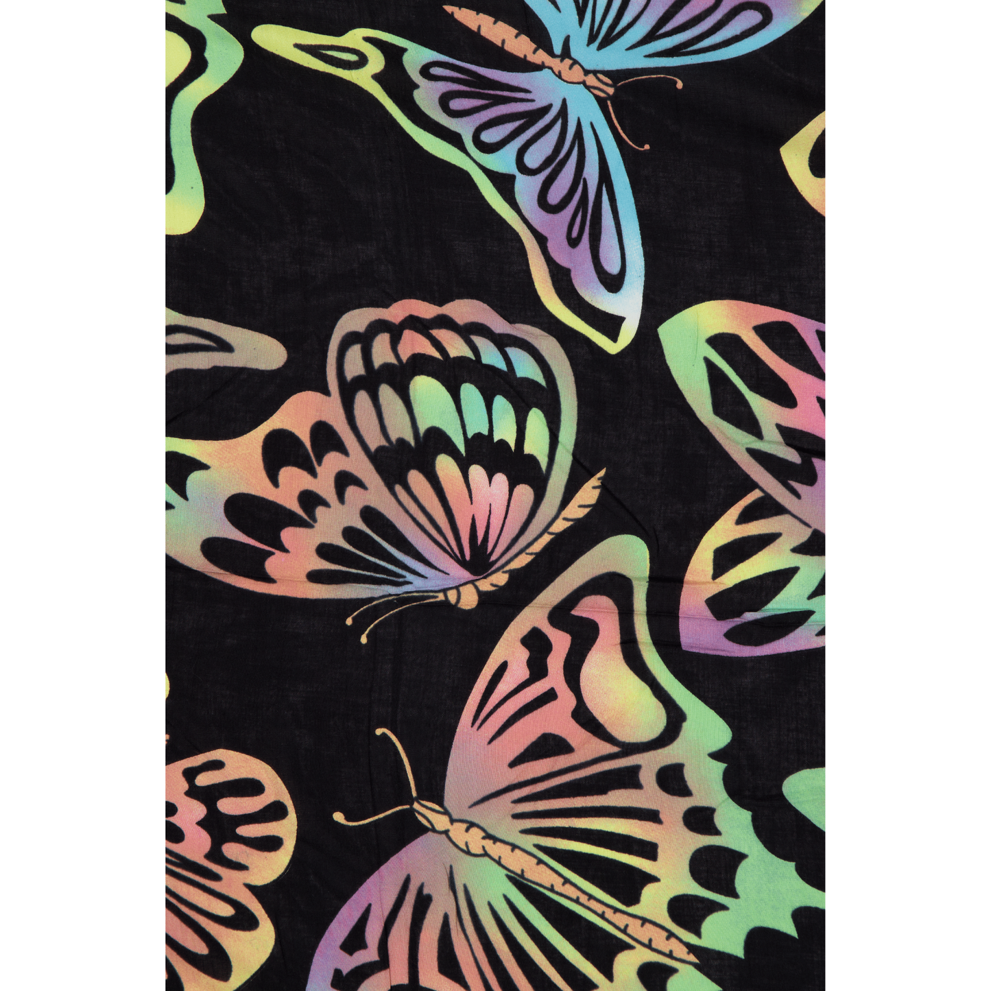 BUTTERFLY DREAM MIDNIGHT