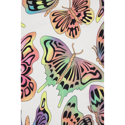 BUTTERFLY DREAM CLOUD