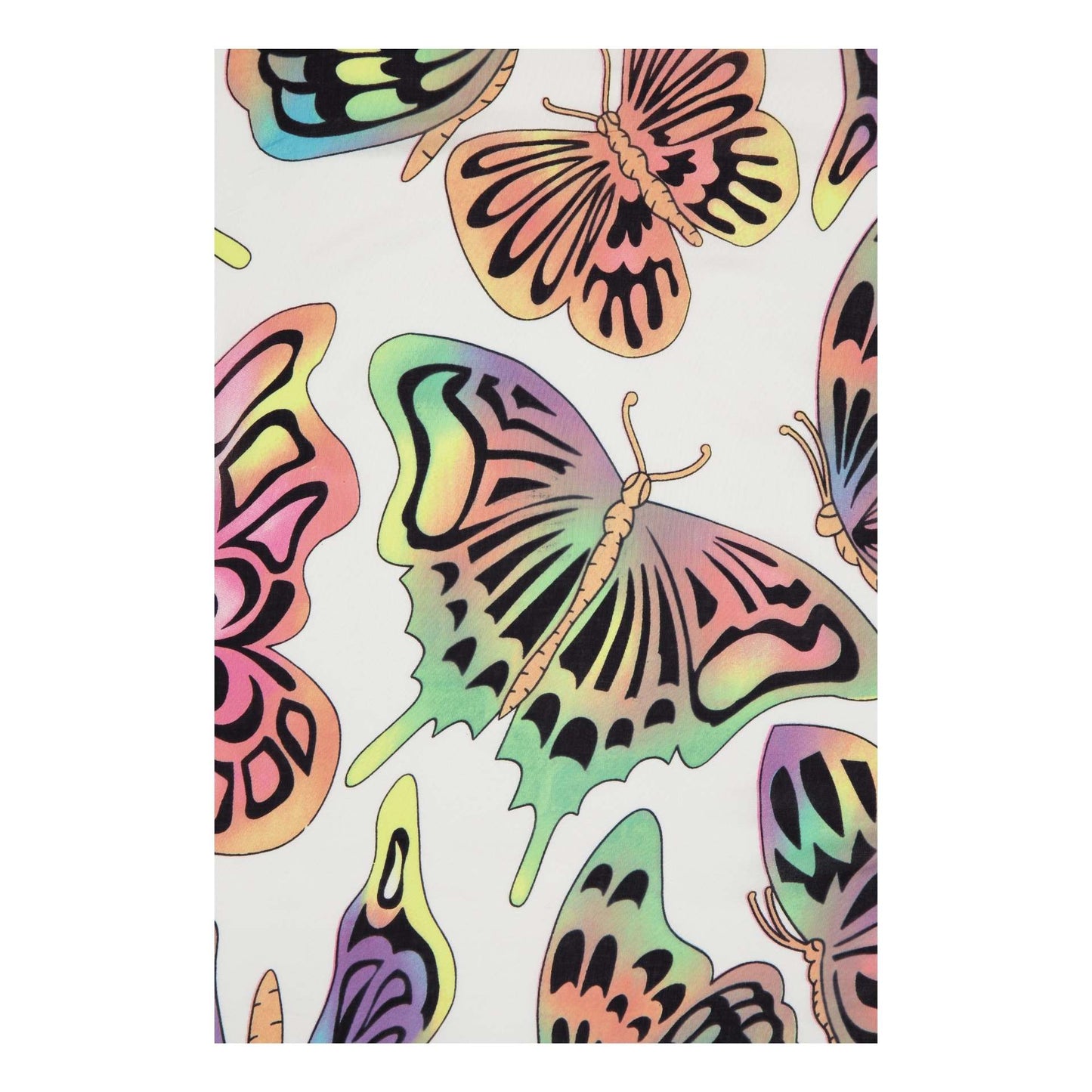BUTTERFLY DREAM